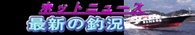 ホットな最新釣況を解説